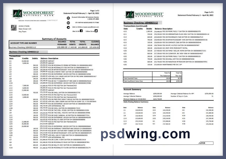 USA Woodforest Bank Statement (Excel, 3 Pages)